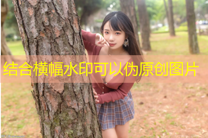 <strong>米乐：室内健身器材售后服务</strong>