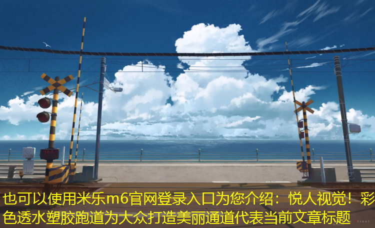<strong>米乐m6官网登录入口为您介绍：悦人视觉！彩色透水塑胶跑道为大众打造美丽通道</strong>