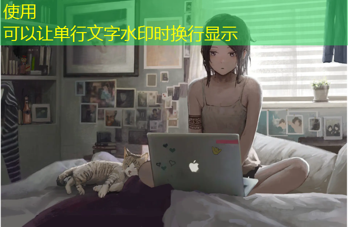 室内健身划船